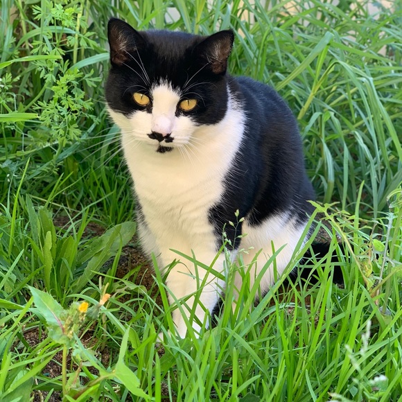 Meet your Posher, Miranda - Picture 2 of 2